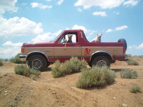 1990 Ford Bronco photo
