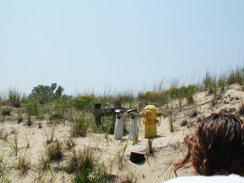1992 Ford Taurus - A yellow fire hydrant and two figures stand on a sandy dune, surrounded by tall grasses under a clear sky.
