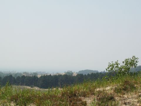 1992 Ford Taurus - A wide shot of a hazy landscape with trees and grass, a watermark at the bottom right.