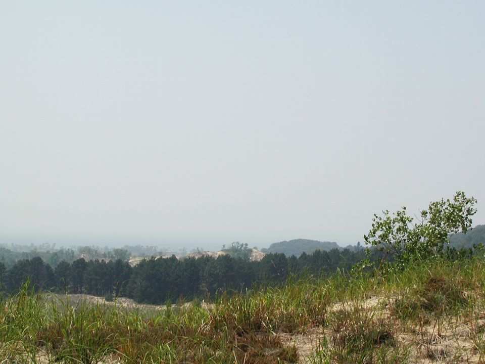 Hazy landscape with trees, grass, and a "SUPER MOTORS" watermark