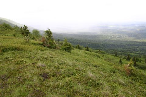 2003 Jeep TJ - A wide view of a natural landscape with rolling hills covered in green vegetation and trees stretching to the horizon.