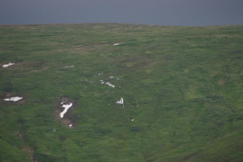 2003 Jeep TJ - Debris is spread across a grassy slope under a dark sky.