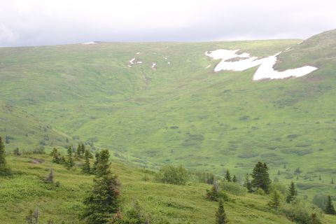2003 Jeep TJ - A vast, rolling green landscape dotted with trees and patches of lingering snow under an overcast sky.