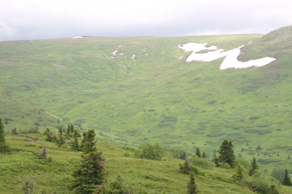 Mountain landscape with green hills and patches of snow under a cloudy sky