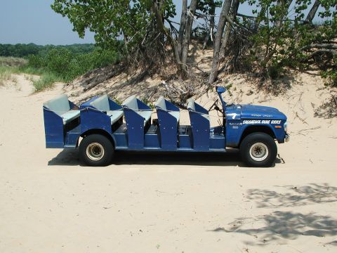 1992 Ford Taurus - This custom blue vehicle, designed for dune rides, is parked on a sandy terrain with trees in the background.