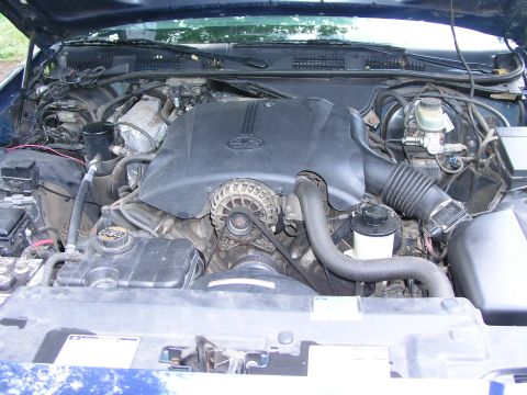 1999 Ford Crown Victoria - The engine bay of a 1999 Ford Crown Victoria, the engine cover and alternator.