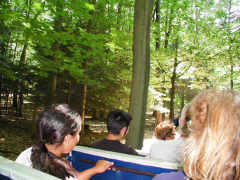 1992 Ford Taurus - People ride in a vehicle through a wooded area, with trees and foliage visible outside.