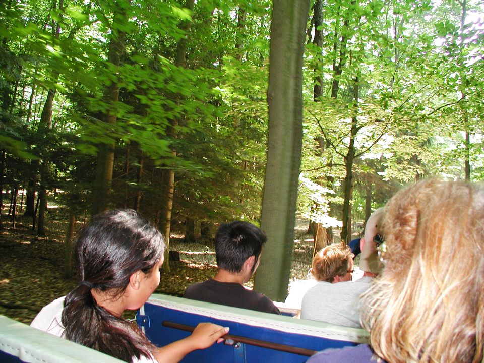 Interior view of a vehicle with people, trees visible through windows
