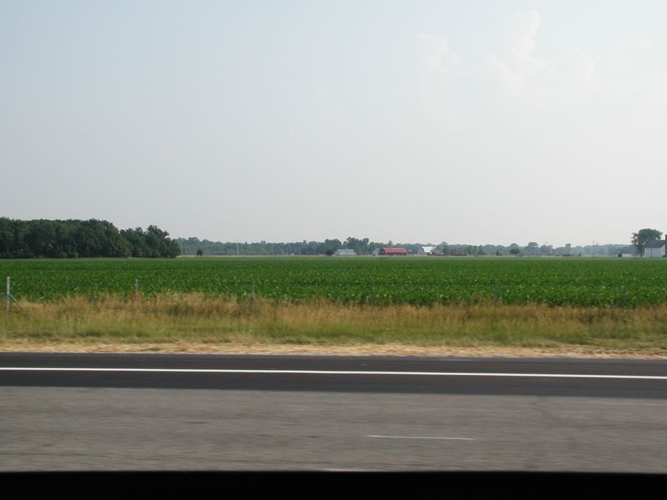 Farm fields with trees and buildings in the distance, seen from a road