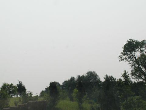 1992 Ford Taurus - A cloudy sky looms over a dense line of trees and foliage.
