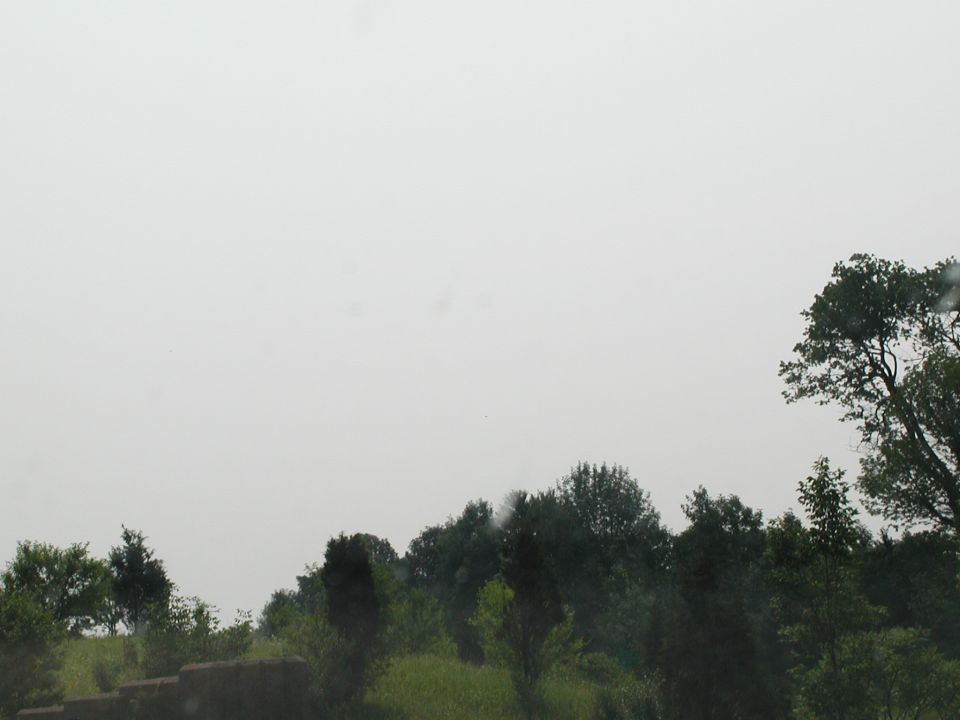 trees and sky with a Supermotors logo in the corner