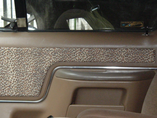 Interior door panel with leopard print insert and chrome trim. Seatbelt visible