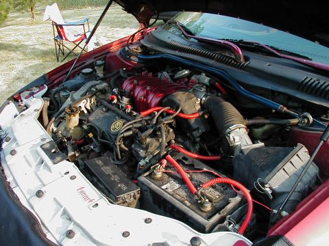 1997 Ford Taurus - The engine bay of a 1997 Ford Taurus is shown with custom red hoses and a polished intake manifold.