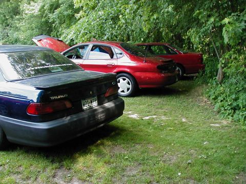 1997 Ford Taurus - A dark blue 1997 Ford Taurus is parked next to a red Taurus, with the trunk open on the red car.