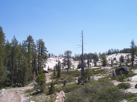 1998 Ford Ranger - A remote mountain scene with sparse vegetation and a clear sky. The path suggests a trail for hiking or off-roading.