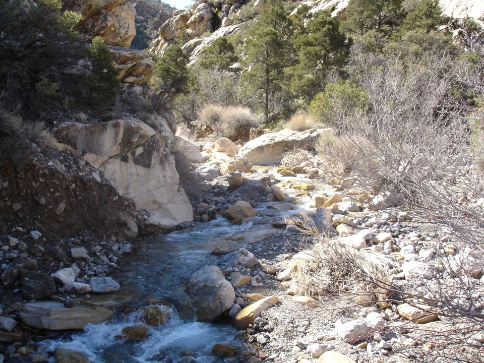 Rocky creek running through a boulder-filled canyon with pines and pale granite