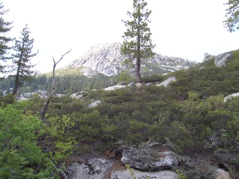 1998 Ford Ranger - A scenic view of a rocky mountain and dense vegetation under a bright sky, with a website watermark visible.