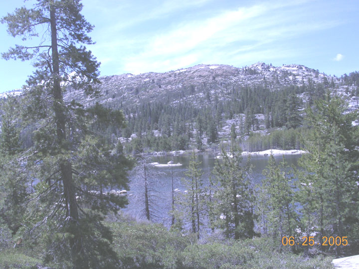 Lake and snow-dusted mountain landscape with pine trees in the foreground
