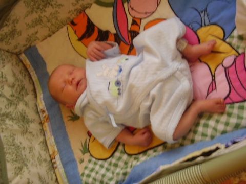 1979 Ford F-150 - A newborn baby is asleep in a crib, surrounded by bedding cartoon characters.