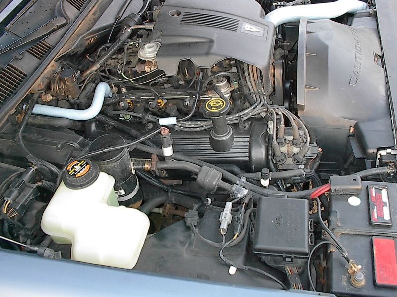 Ford V8 engine bay with plug wires, yellow oil cap, and Ford fuse box under blue hood