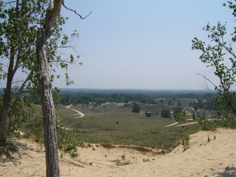1998 Ford Taurus - A vast landscape of rolling sand dunes and grassy hills stretches towards a distant tree line.