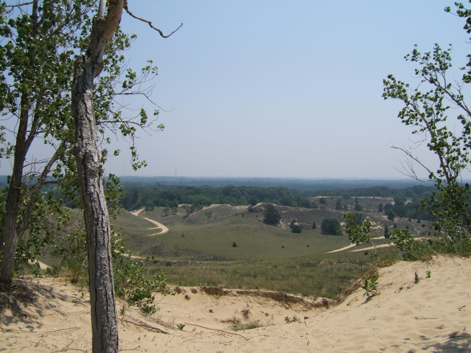 Sandy dunes and green hills with a winding dirt road under a clear blue sky