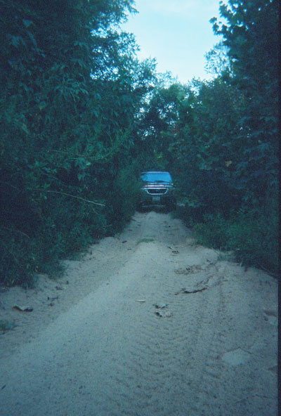 1999 Ford Explorer photo