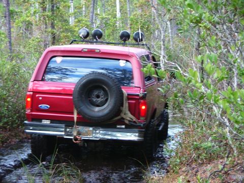 1995 Ford Bronco “broncobilly”