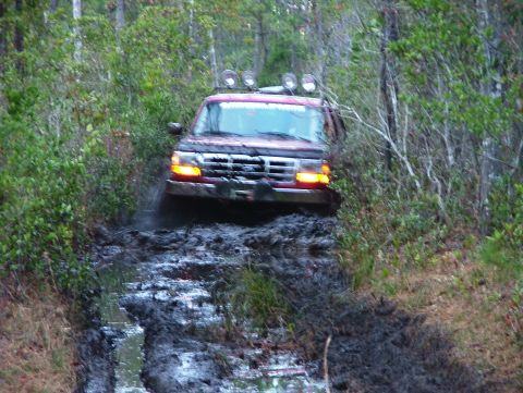 1995 Ford Bronco - getting deep!