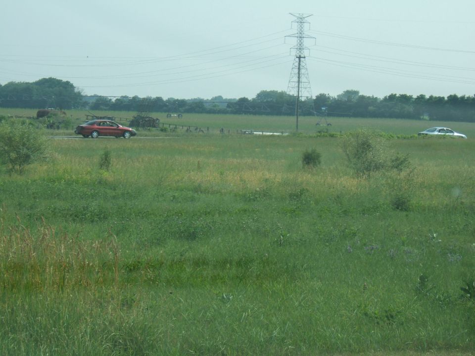 Red sedan and white sedan driving in a grassy field with a power line tower