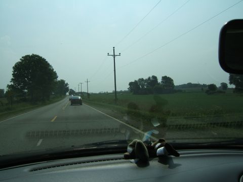 1998 Ford Taurus - Driving on a highway through a rural area with fields and trees under a hazy sky.