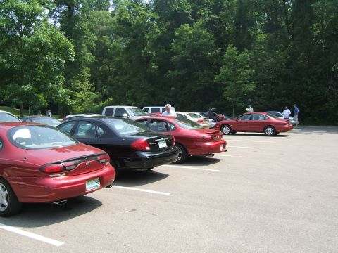 1998 Ford Taurus - Several Ford Taurus sedans are parked in a lot on a sunny day, with trees lining the background.