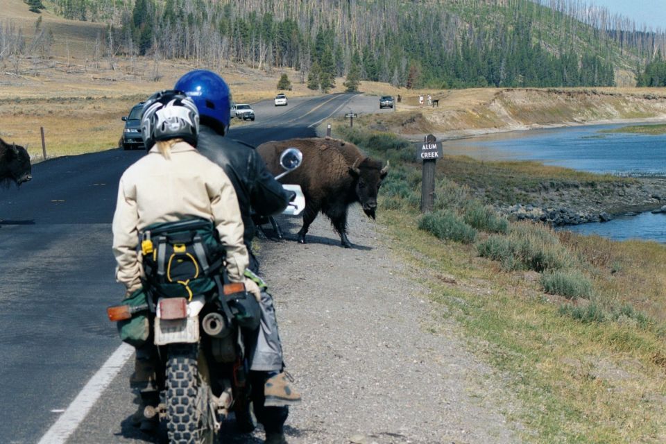 2001 Yamaha XT225