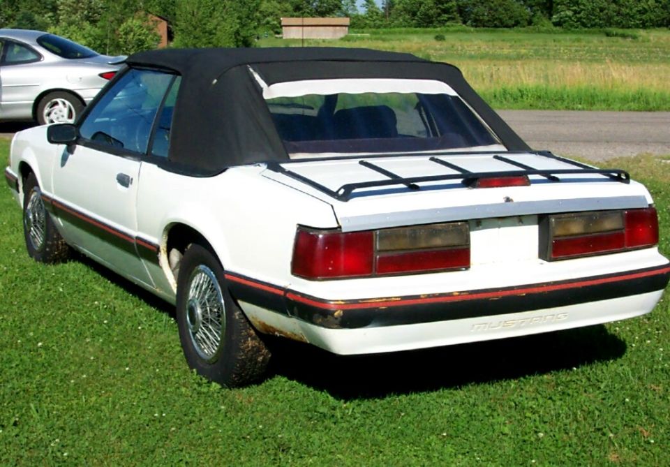 Rear of white Mustang convertible with red trim stripe and Mustang script on bumper