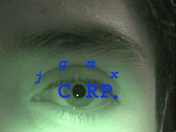 1988 Ford LTD Crown Victoria - A close-up view of a human eye, with blue markings applied to the iris.
