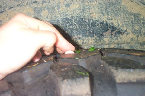 1987 Ford Bronco - Debris lodged in the tread of a tire.