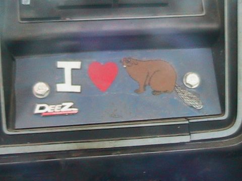 1977 Ford F-250 - A sticker on the dashboard reads 'I love beaver' with a heart and a cartoon beaver.