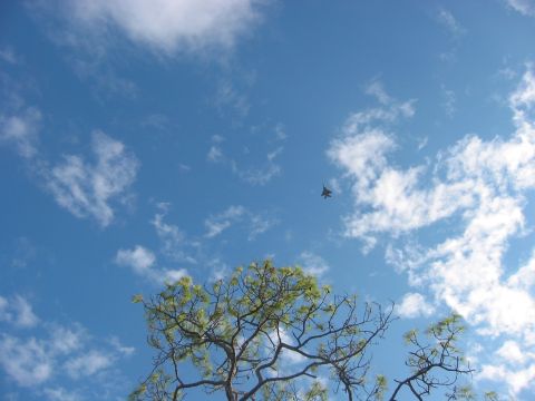 1989 Ford Bronco - Downwind 25R, directly over Embry Riddle