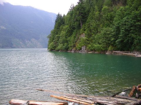 2000 Jeep Cherokee - A scenic view of a lake bordered by a dense forest, with logs washed ashore.