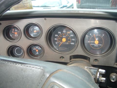 1978 Chevrolet C/K Pickup “RootBreaker”