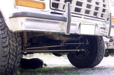 1979 Ford Bronco - The front grille and bumper of a 1979 Ford Bronco are visible, with a black object on the ground beneath.