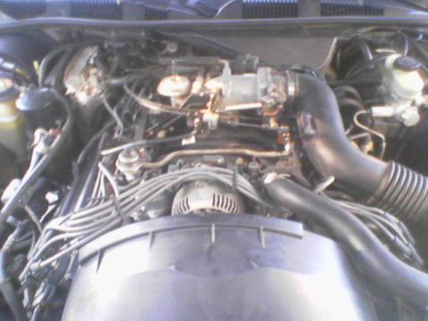 1996 Ford Crown Victoria LTD - My 4.6L V8 with all of the usless plastic pulled and tossed in the trash