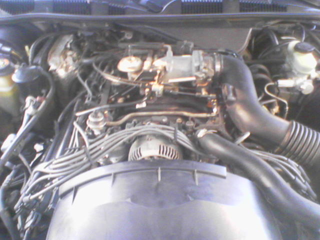 Engine bay of a Ford V8 showing intake tube, alternator, spark plug wires and throttle body