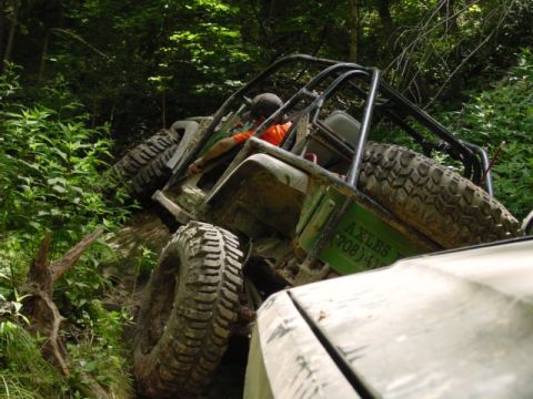 1992 Ford Bronco - This off-road buggy is navigating a challenging, wooded trail with steep inclines and dense foliage.