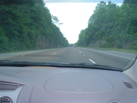 1981 Ford Bronco - View from inside a vehicle driving on a highway surrounded by lush green trees.