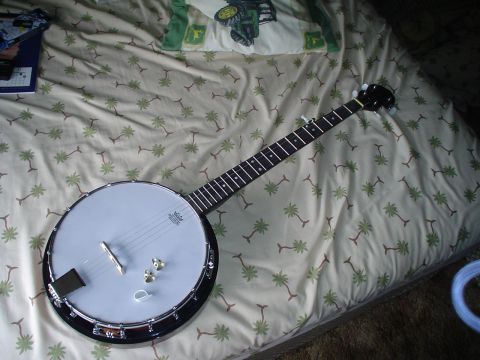 1981 Ford Bronco - A banjo rests on a bed covered with a palm tree patterned sheet.