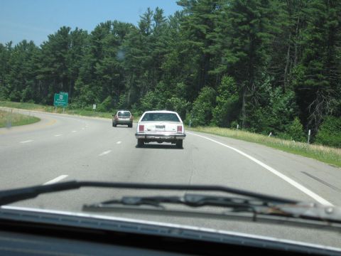 1991 Ford LTD Crown Victoria - Windshield-out shot down a two-lane divided highway lined with pines, following a white full-size Ford sedan whose chrome rear bumper is sa…