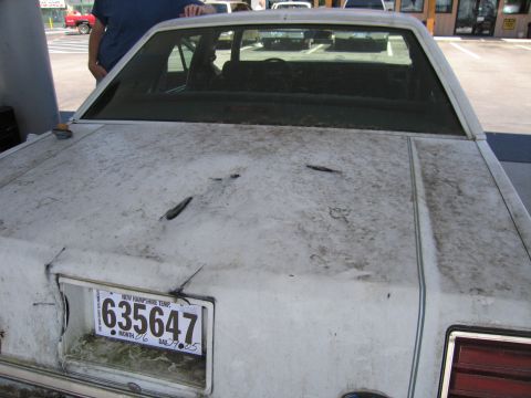 1991 Ford LTD Crown Victoria - Close rear view over the trunk of a grimy white sedan, its trunk lid dented and covered in dirt and moss-like buildup. A New Hampshire temp…