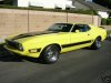 1973 Ford Mustang photo