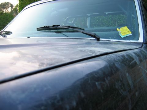 1985 Ford Bronco - A dark-colored SUV's hood and windshield are visible, with a yellow parking ticket affixed to the glass.
